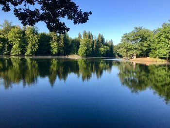 Scenic view of lake in forest against clear sky