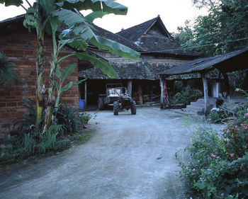 Houses and trees by building