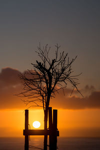 Silhouette tree by sea against sky during sunset