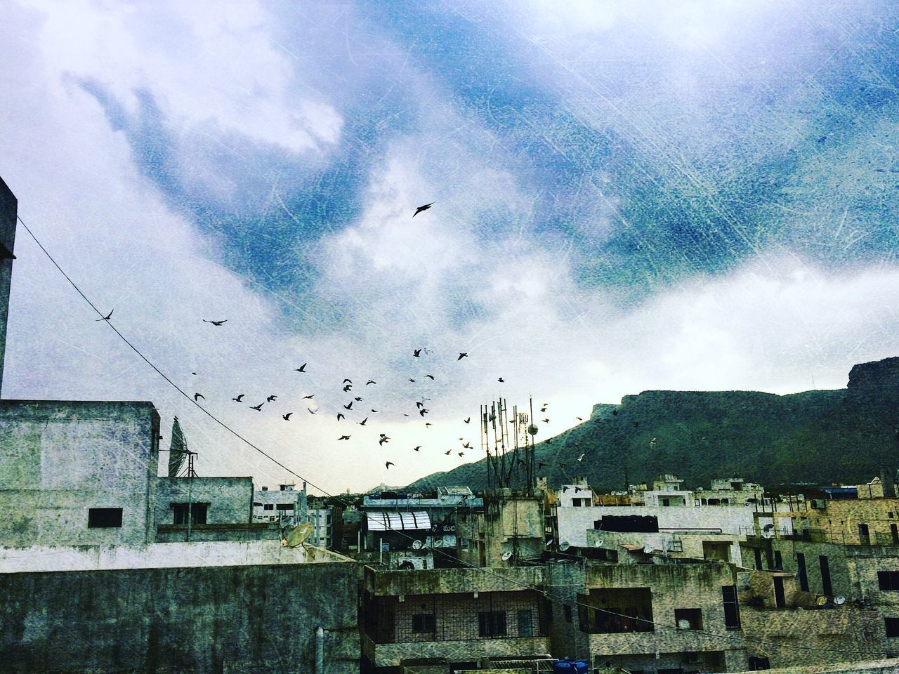 FLOCK OF BIRDS FLYING IN CITY AGAINST SKY