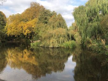 Reflection of trees in lake against sky