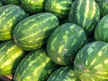 Full frame shot of watermelons for sale at market
