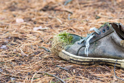 footwear