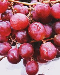 Close-up of fruits