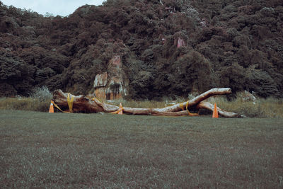 View of sculpture on field