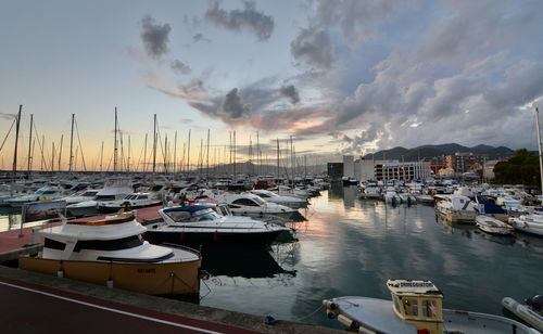 Boats moored at harbor