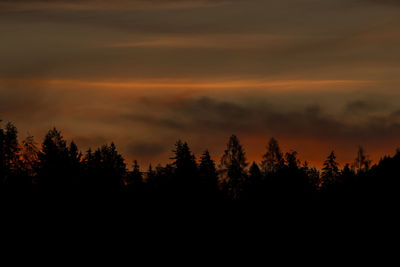 Silhouette trees against sky during sunset