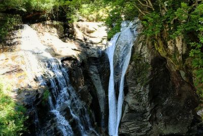 Scenic view of waterfall in forest