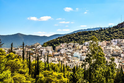 Panoramic shot of trees and plants against sky