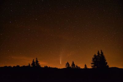 Silhouette trees against sky at night