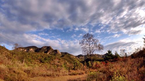 Scenic view of landscape against cloudy sky