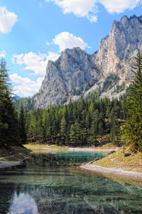 Scenic view of lake by trees against sky