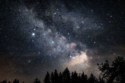 Low angle view of silhouette trees against sky at night