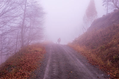 Mountain pathway covered with fallen leaves with walkers in a distance on a misty autumn day