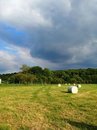 Scenic view of field against sky