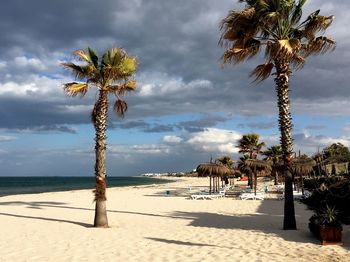 Palm trees at sandy beach against cloudy sky