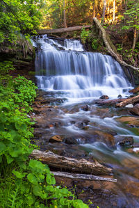 Scenic view of waterfall in forest