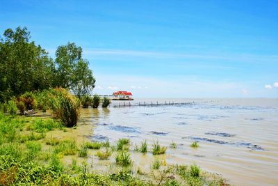 Scenic view of sea against sky