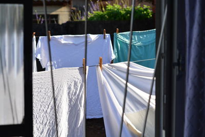 Close-up of clothes drying on clothesline