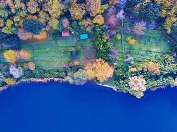 Digital composite image of plants and lake against wall