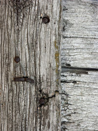 Full frame shot of old wooden door