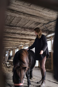 Woman brushing horse in stable