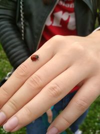 Close-up of human hand holding insect