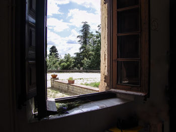 Trees seen through house window