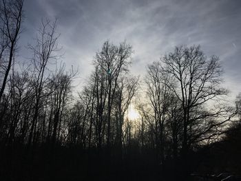 Low angle view of bare trees against sky