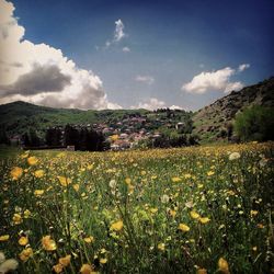 Scenic view of grassy field against cloudy sky