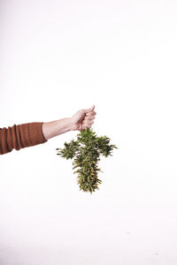 Cropped hand of woman holding hands against white background