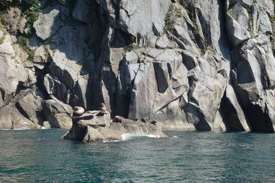 Scenic view of rock formation in sea