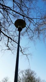 Low angle view of bare tree against sky