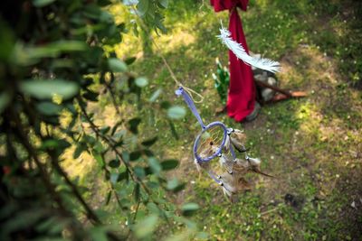 High angle view of bubble hanging from tree