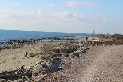 Scenic view of beach against sky