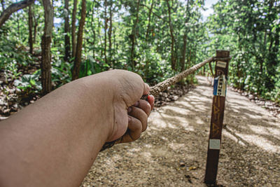 Close-up of person hand by railing in forest