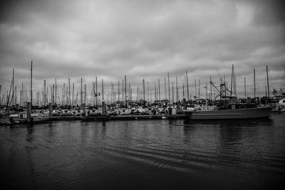 Sailboats moored at harbor against sky