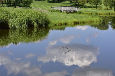 Scenic view of lake