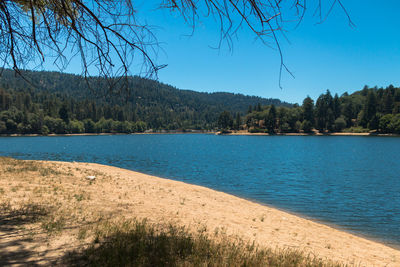 Scenic view of lake against clear blue sky