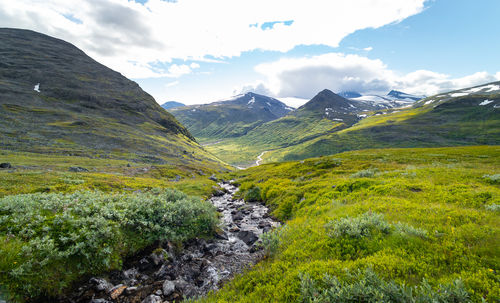 A beautiful summer landscape of mountain river in sarek national park, sweden. 