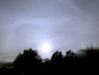 Low angle view of silhouette trees against sky at night