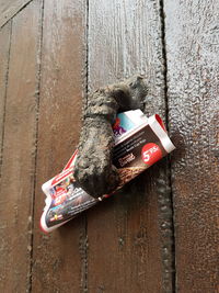 Close-up of a cat on wooden door