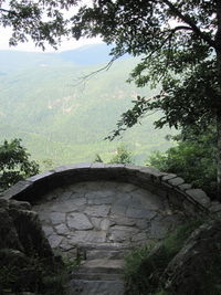 Low angle view of tree mountain against sky