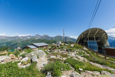 Plants and houses against clear blue sky