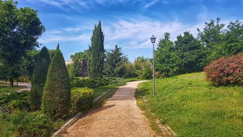 Footpath amidst plants and trees on field against sky