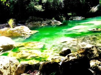 Scenic view of waterfall