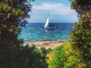 Boat sailing in sea