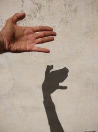 Shadow of people hand on wall ,this looks like dog's shadow