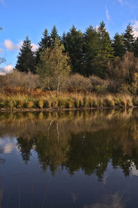 Reflection of trees in lake against sky
