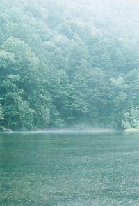 Scenic view of calm sea